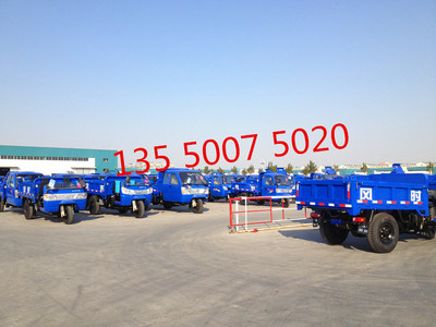 成都时风电启动柴油三轮车 简易棚载重三轮车 拉混凝土工矿柴油三轮车