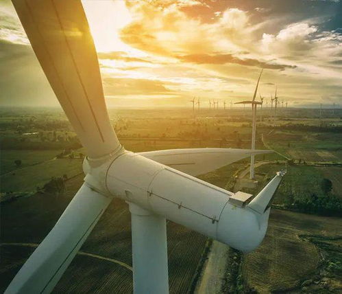 风力发电 清洁能源的潜力与挑战