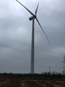 风力发电的噪音困扰 绿色能源背后的邻里挑战