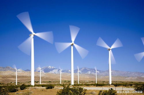 风车之辩 正视风力发电的利弊平衡