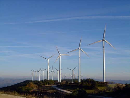 乘风而上 风能发电的广阔前景与时代机遇